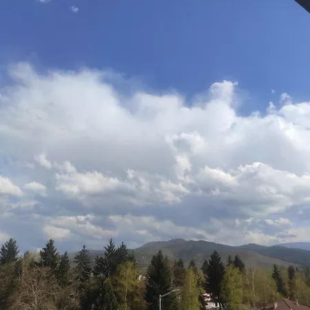 четири сезона 2 * 벨린그래드