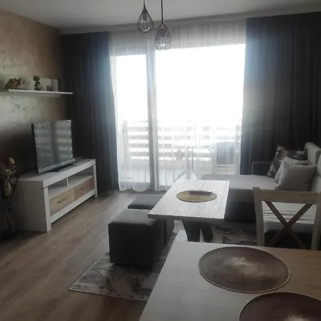 четири сезона 2 * 벨린그래드